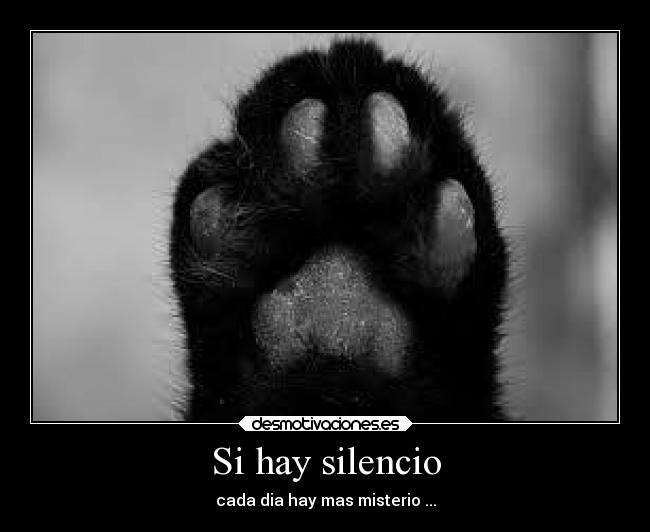 Si hay silencio - cada dia hay mas misterio ...