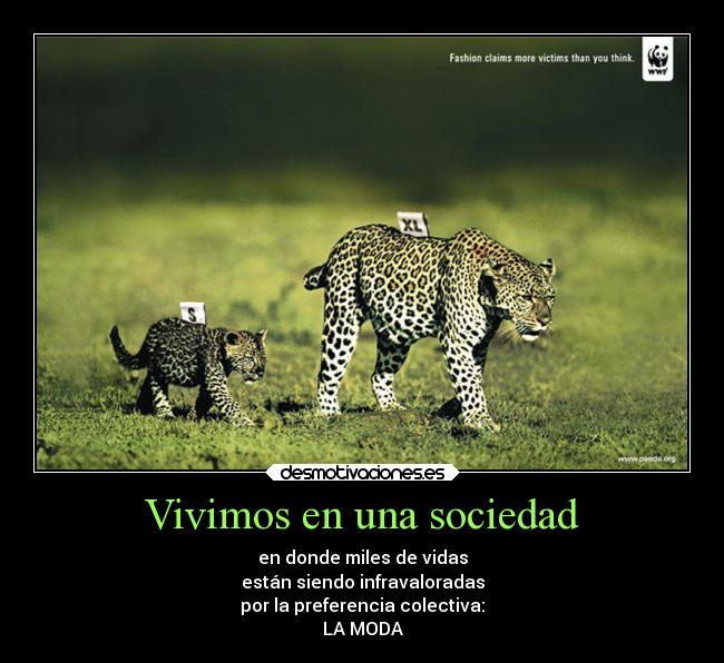 Vivimos en una sociedad - 