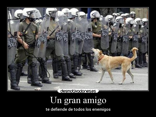 carteles sociedad animales amigos amistad perro desmotivaciones