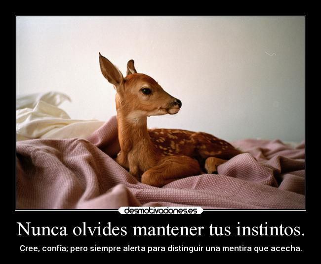 carteles sociedad vida tedoylamano peronometomeselbrazo productodemipropiamente desmotivaciones