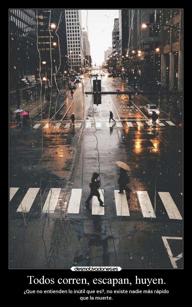 Todos corren, escapan, huyen. -