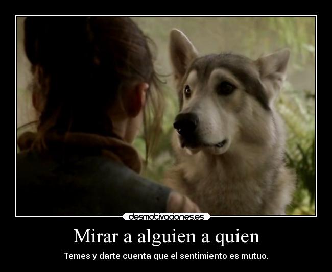 Mirar a alguien a quien - Temes y darte cuenta que el sentimiento es mutuo.