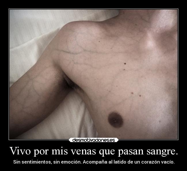 carteles soledad sentimientos desmotivaciones vida productodemipropiamente desmotivaciones