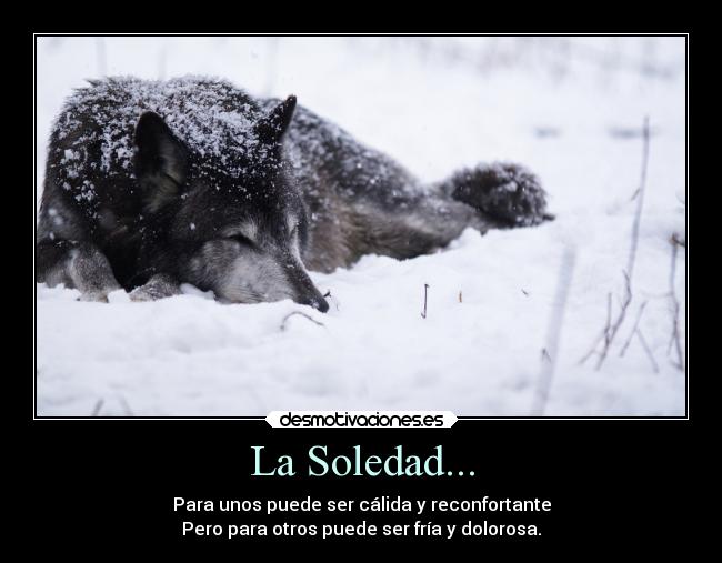 La Soledad... - 