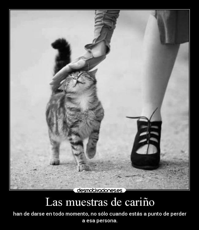 Las muestras de cariño -