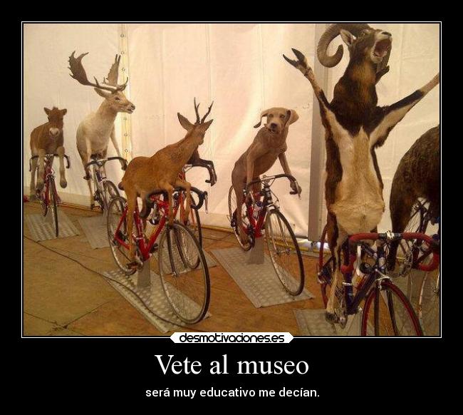 Vete al museo - 