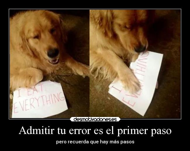 Admitir tu error es el primer paso - pero recuerda que hay más pasos