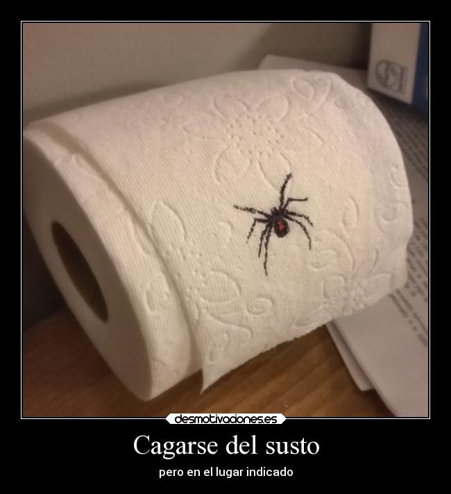 Cagarse del susto - pero en el lugar indicado