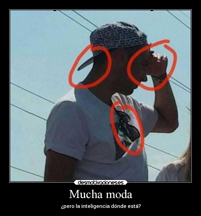 carteles tonto madurar mundo desmotivaciones criticas desmotivaciones