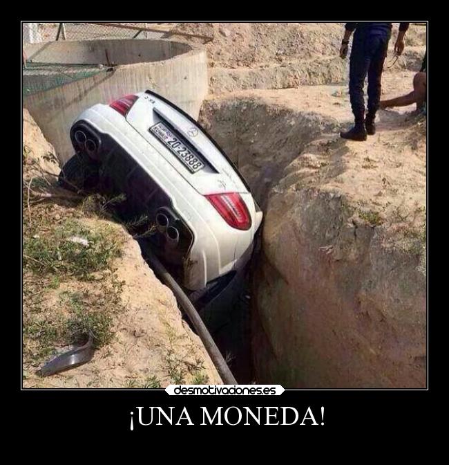 ¡UNA MONEDA! -