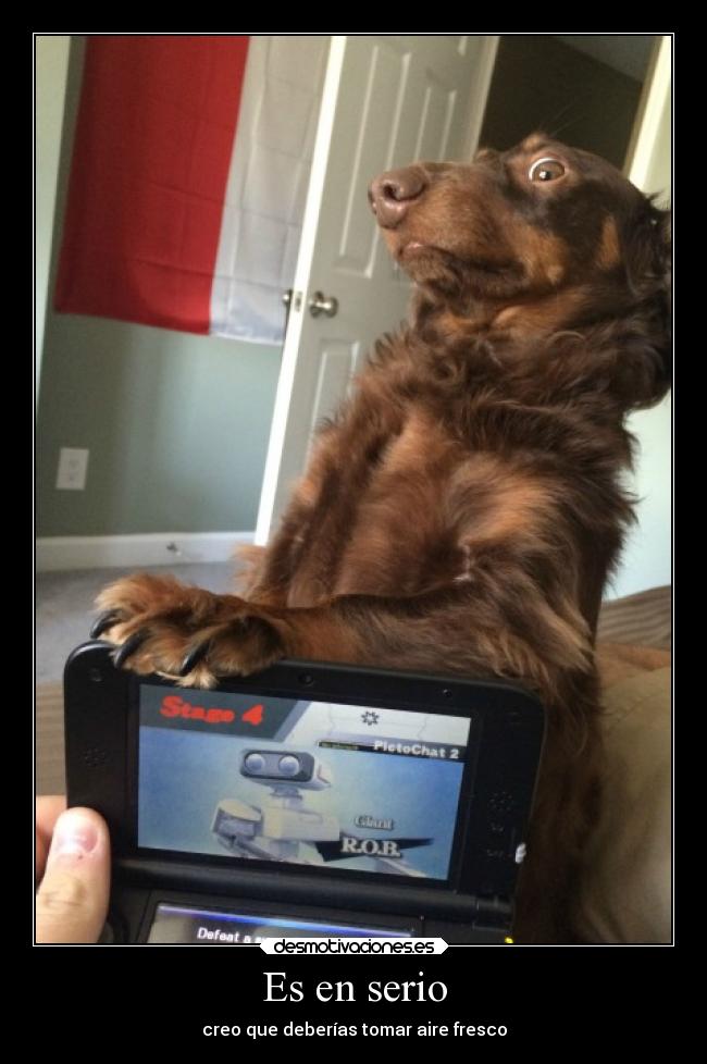 Es en serio - creo que deberías tomar aire fresco