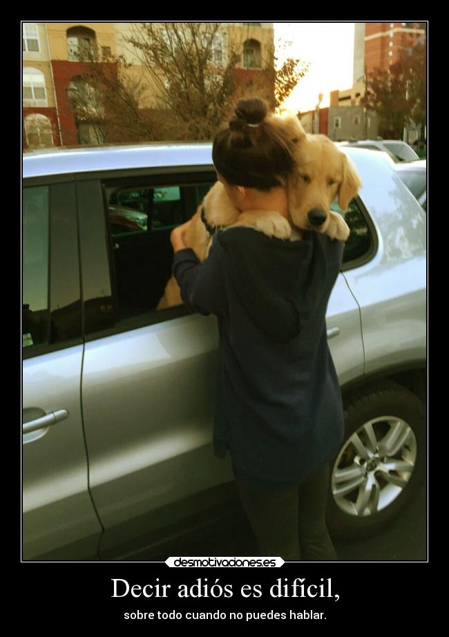 Decir adiós es difícil, -