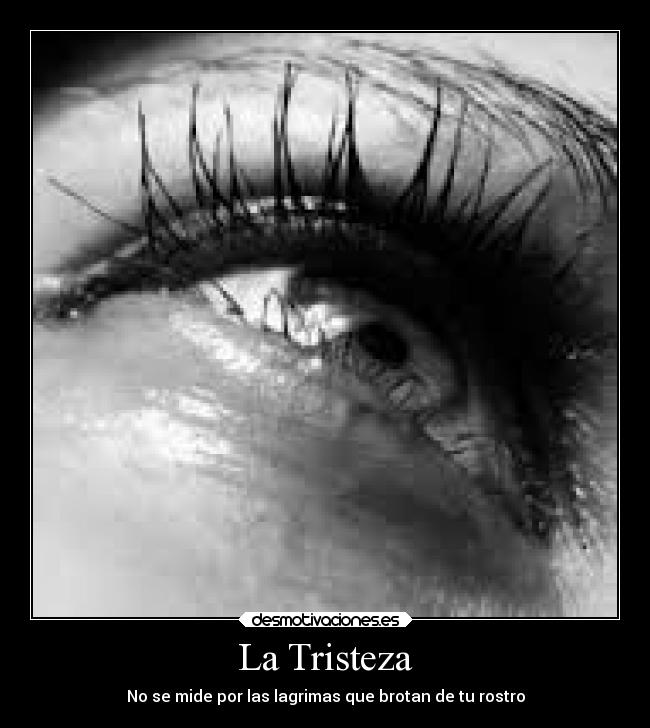 carteles tristeza tristeza desmotivaciones