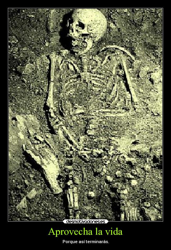 Aprovecha la vida - Porque así terminarás.