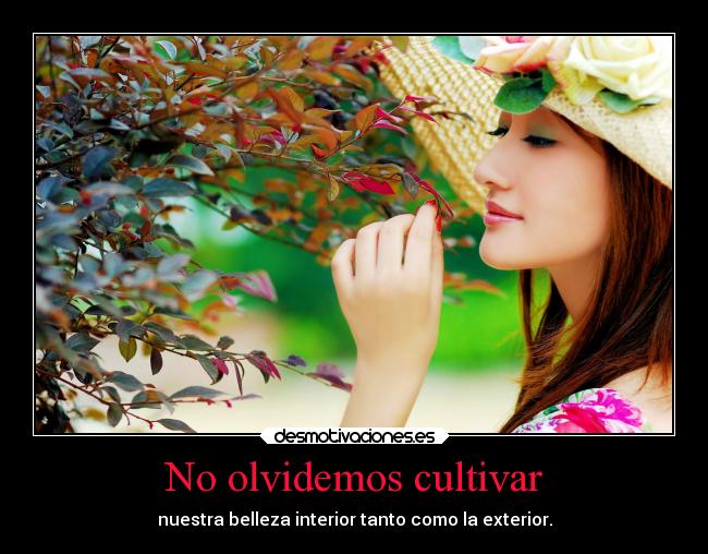 No olvidemos cultivar - 