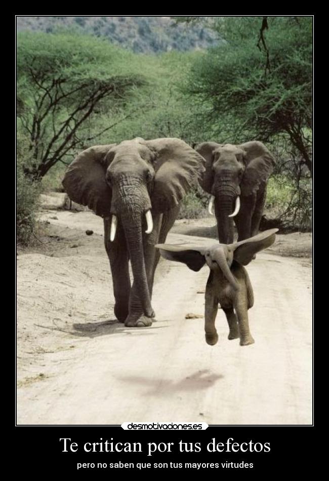 Te critican por tus defectos - pero no saben que son tus mayores virtudes