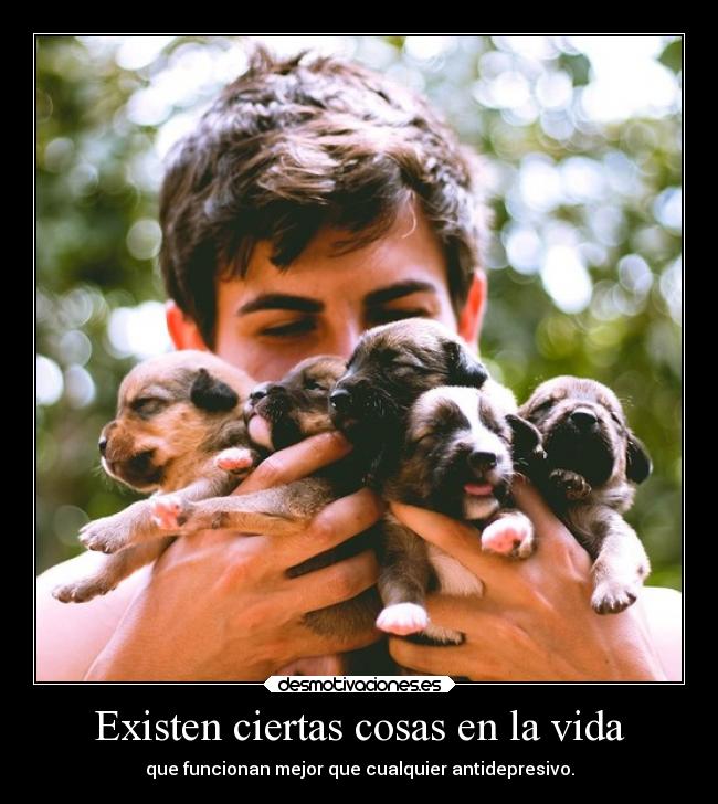 Existen ciertas cosas en la vida - que funcionan mejor que cualquier antidepresivo.