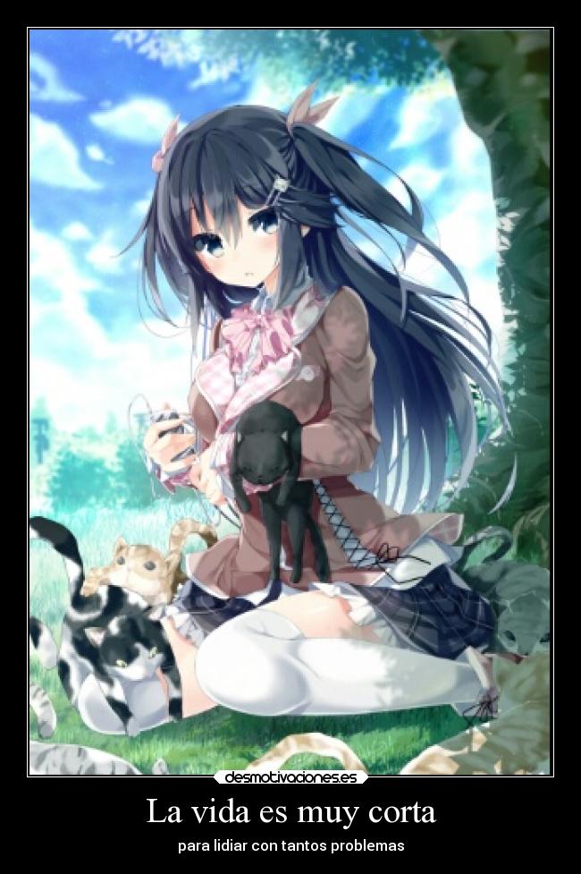 La vida es muy corta - para lidiar con tantos problemas