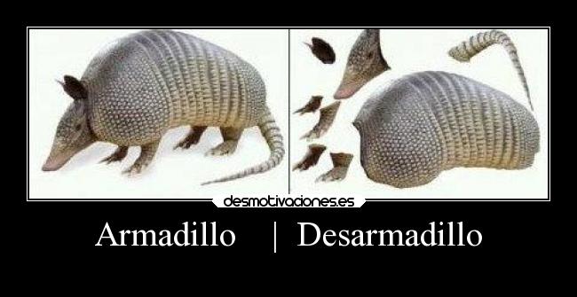 carteles vida chicadefuego desmotivaciones