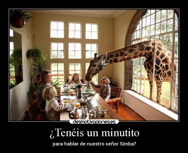 carteles vida chicadefuego maburro desmotivaciones