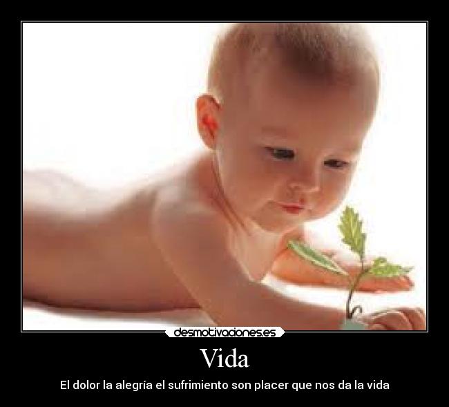 carteles vida vida desmotivaciones