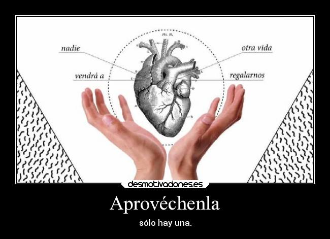 Aprovéchenla - sólo hay una.