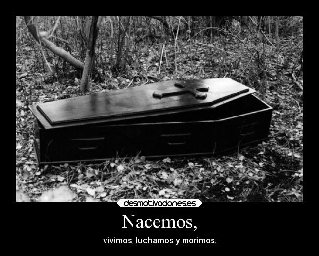 Nacemos, - vivimos, luchamos y morimos.