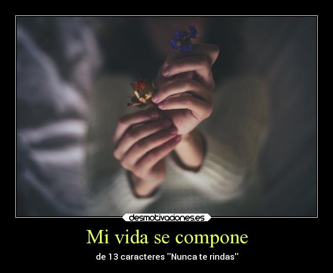 carteles vida vida desmotivaciones