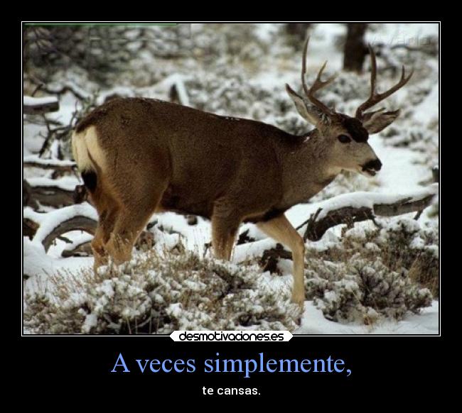 A veces simplemente, - 