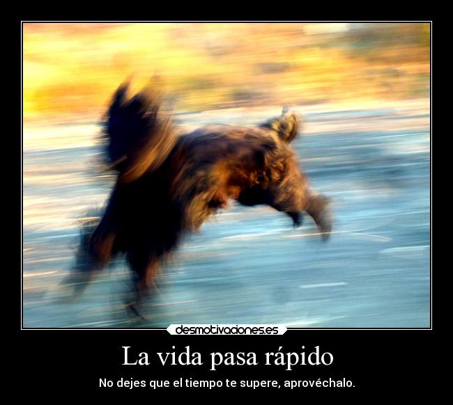 La vida pasa rápido - 