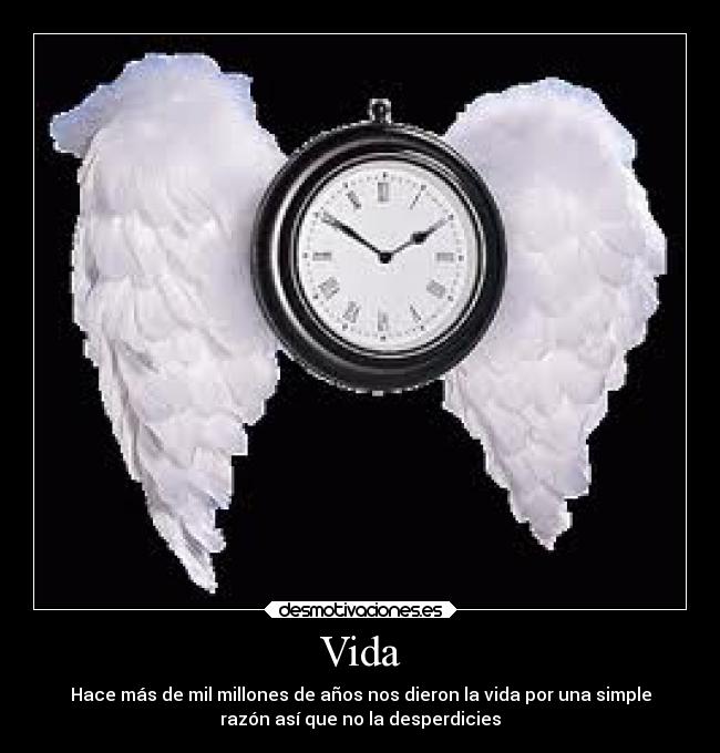 Vida - Hace más de mil millones de años nos dieron la vida por una simple
razón así que no la desperdicies