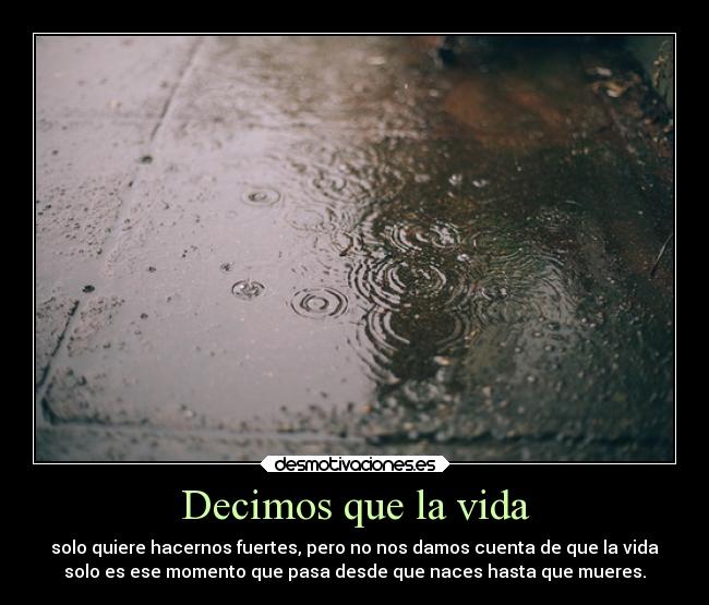 Decimos que la vida -