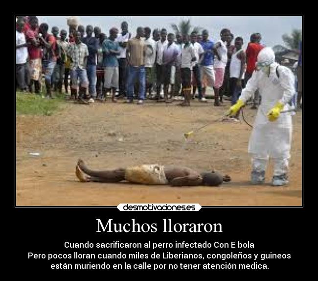 Muchos lloraron - Cuando sacrificaron al perro infectado Con E bola
Pero pocos lloran cuando miles de Liberianos, congoleños y guineos
están muriendo en la calle por no tener atención medica.