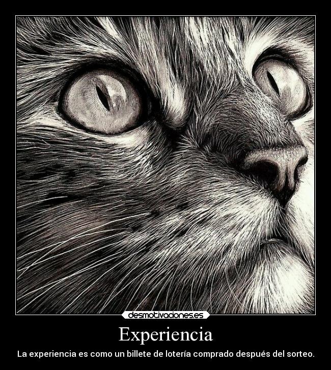 Experiencia - La experiencia es como un billete de lotería comprado después del sorteo.