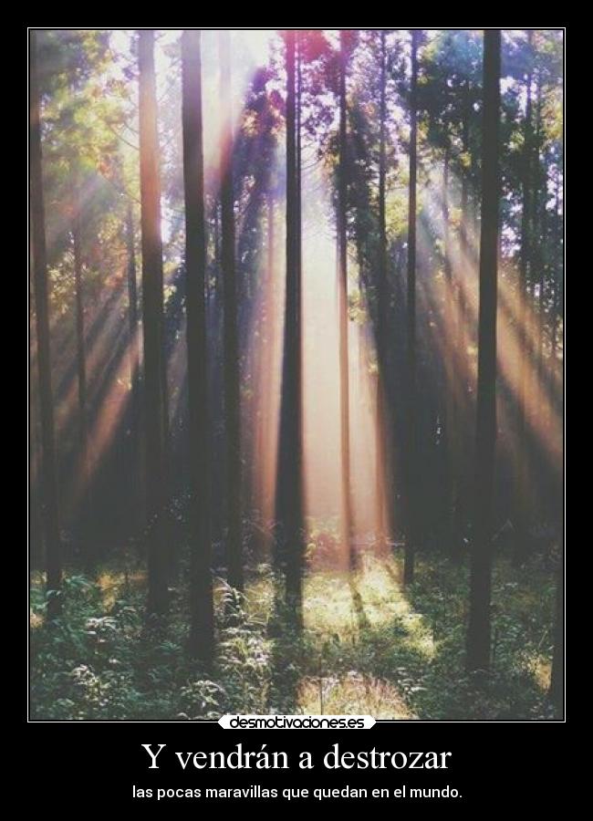 Y vendrán a destrozar - las pocas maravillas que quedan en el mundo.