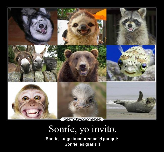 Sonríe, yo invito. -