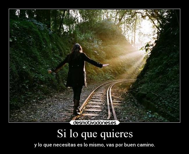 Si lo que quieres - 