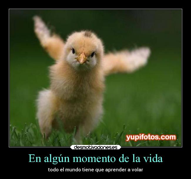 En algún momento de la vida - todo el mundo tiene que aprender a volar