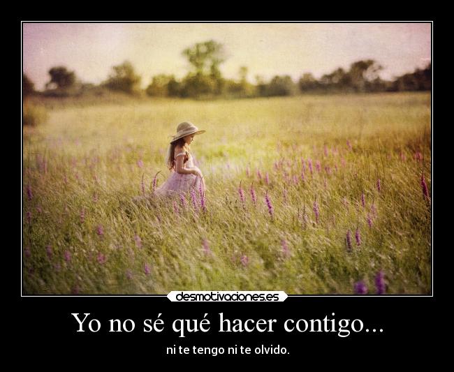 Yo no sé qué hacer contigo... -