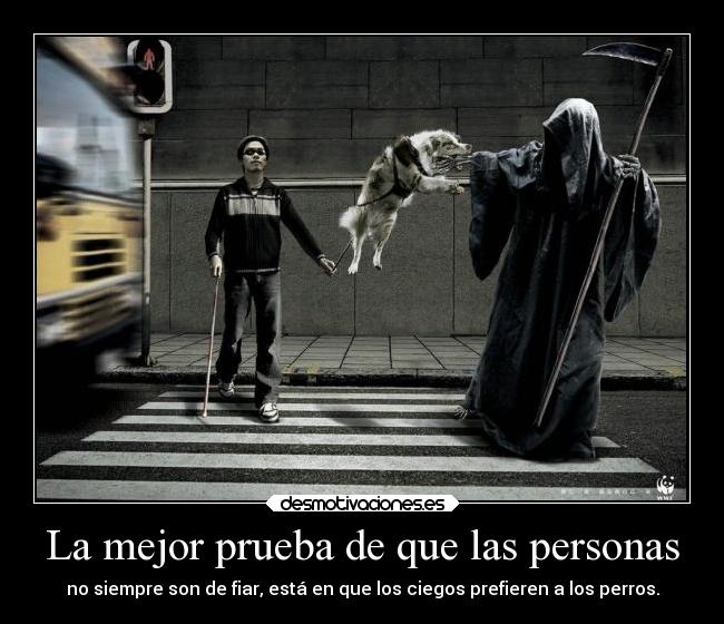 La mejor prueba de que las personas -
