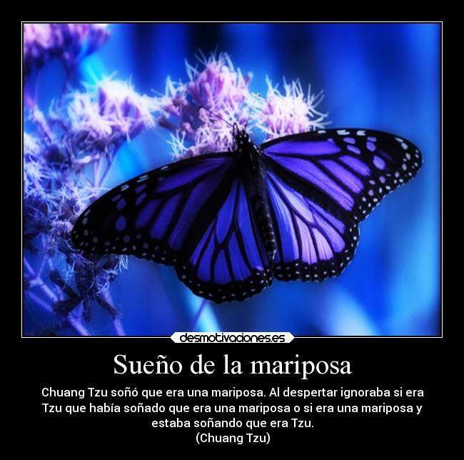 Sueño de la mariposa - 