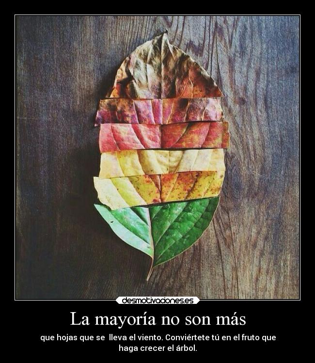 La mayoría no son más - 