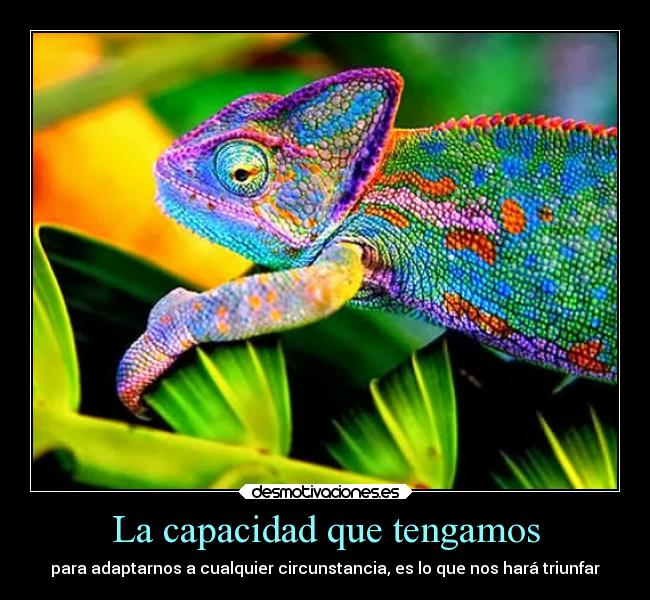 carteles vida reflexion desmotivaciones