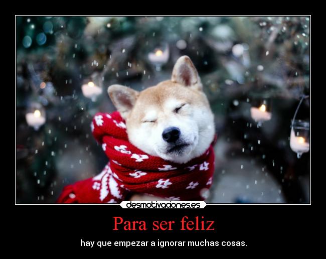 carteles vida sandy78cris masvalereirquellorar desmotivaciones