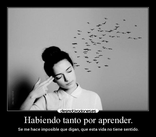 Habiendo tanto por aprender. - 