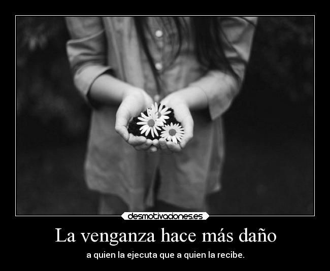 carteles vida venganza desmotivaciones