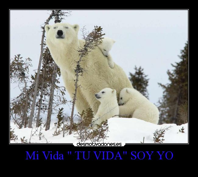 Mi Vida TU VIDA SOY YO -