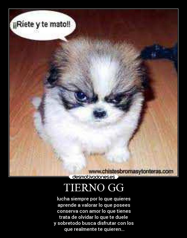 TIERNO GG -