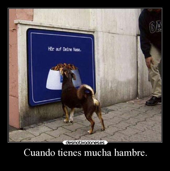 Cuando tienes mucha hambre. -