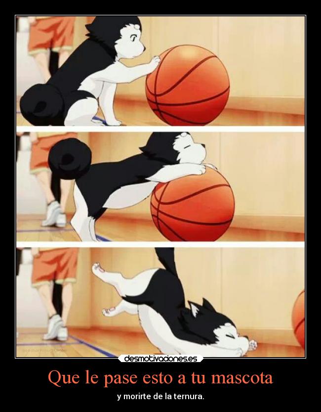 Que le pase esto a tu mascota -